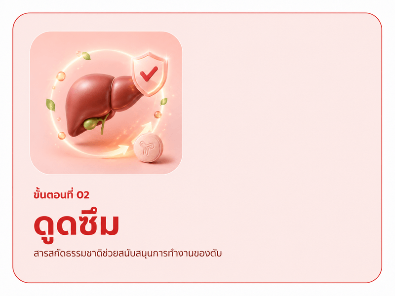 ขั้นตอนที่ 02 ดูแลตับ — ภาวะไขมันพอกตับ ทานวันละ 2 เม็ด เช้า 1 เย็น 1 หลังมื้ออาหาร