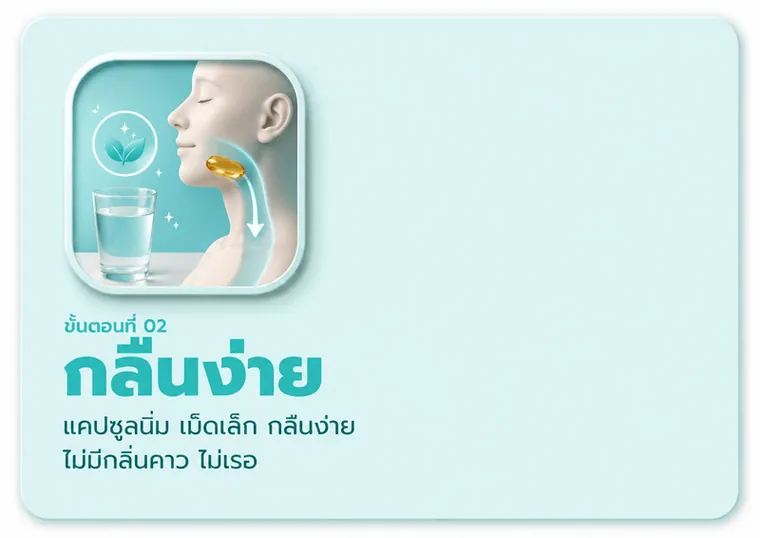 ขั้นตอนที่ 02 กลืนง่าย — แคปซูลนิ่ม เม็ดเล็ก กลืนง่าย ไม่มีกลิ่นคาว ไม่เรอ